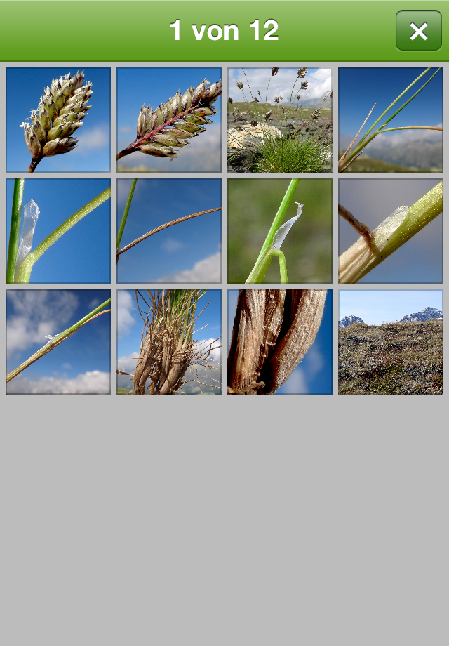 iGrser Lite App iPhone