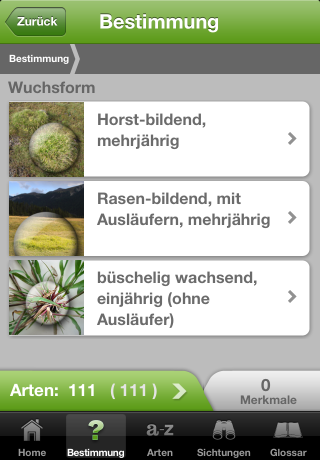 iGräser App iPhone