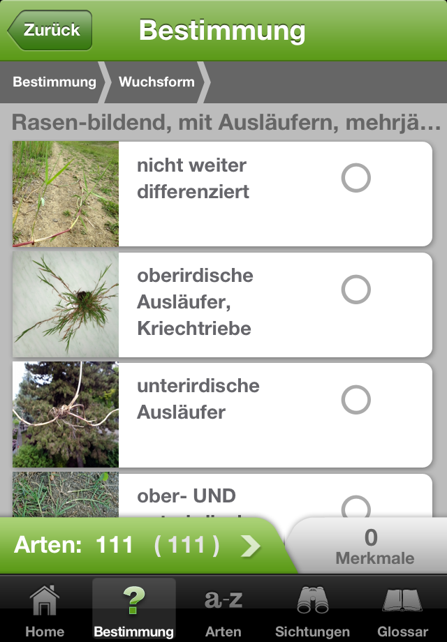 iGräser App iPhone