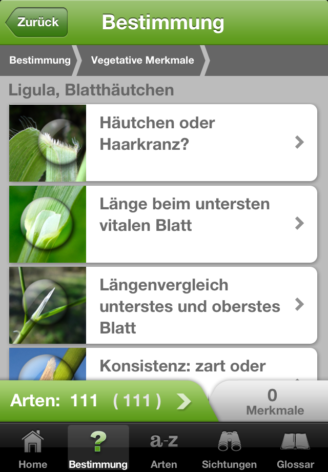 iGräser App iPhone