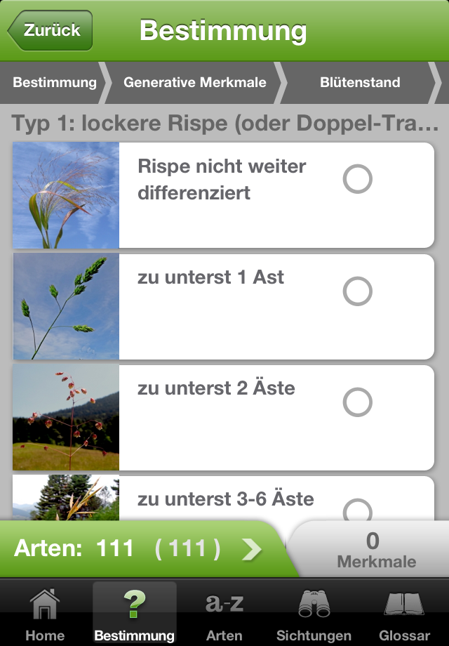 iGräser App iPhone